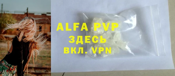 прущие грибы Бутурлиновка