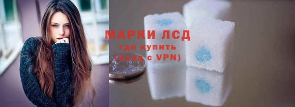 прущий лед Вяземский