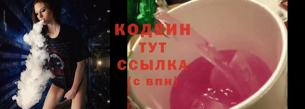прущий лед Вяземский