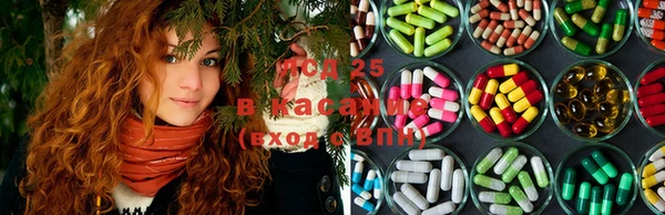 прущий лед Вяземский